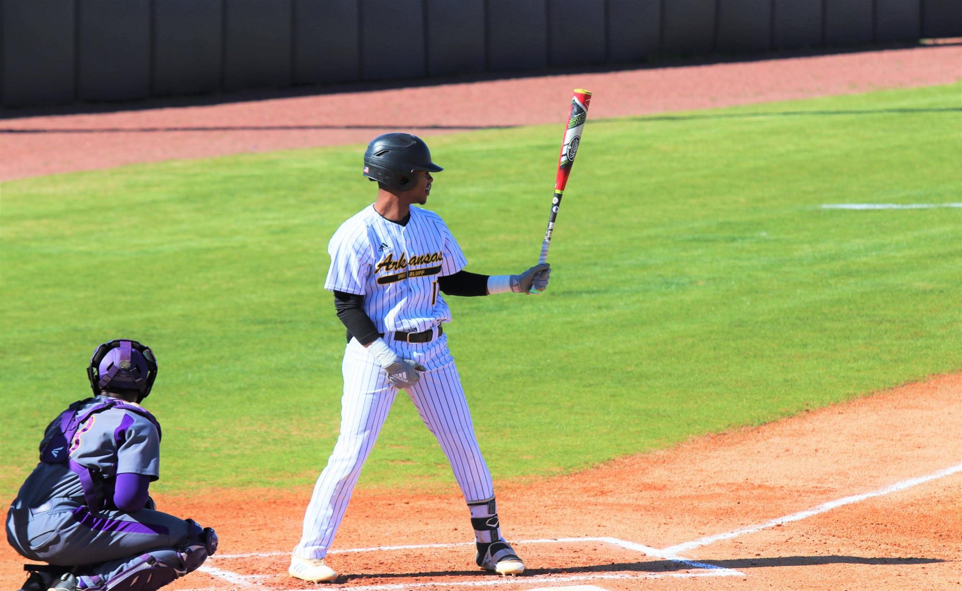 Justin Robinson Baseball UA Pine Bluff Athletics