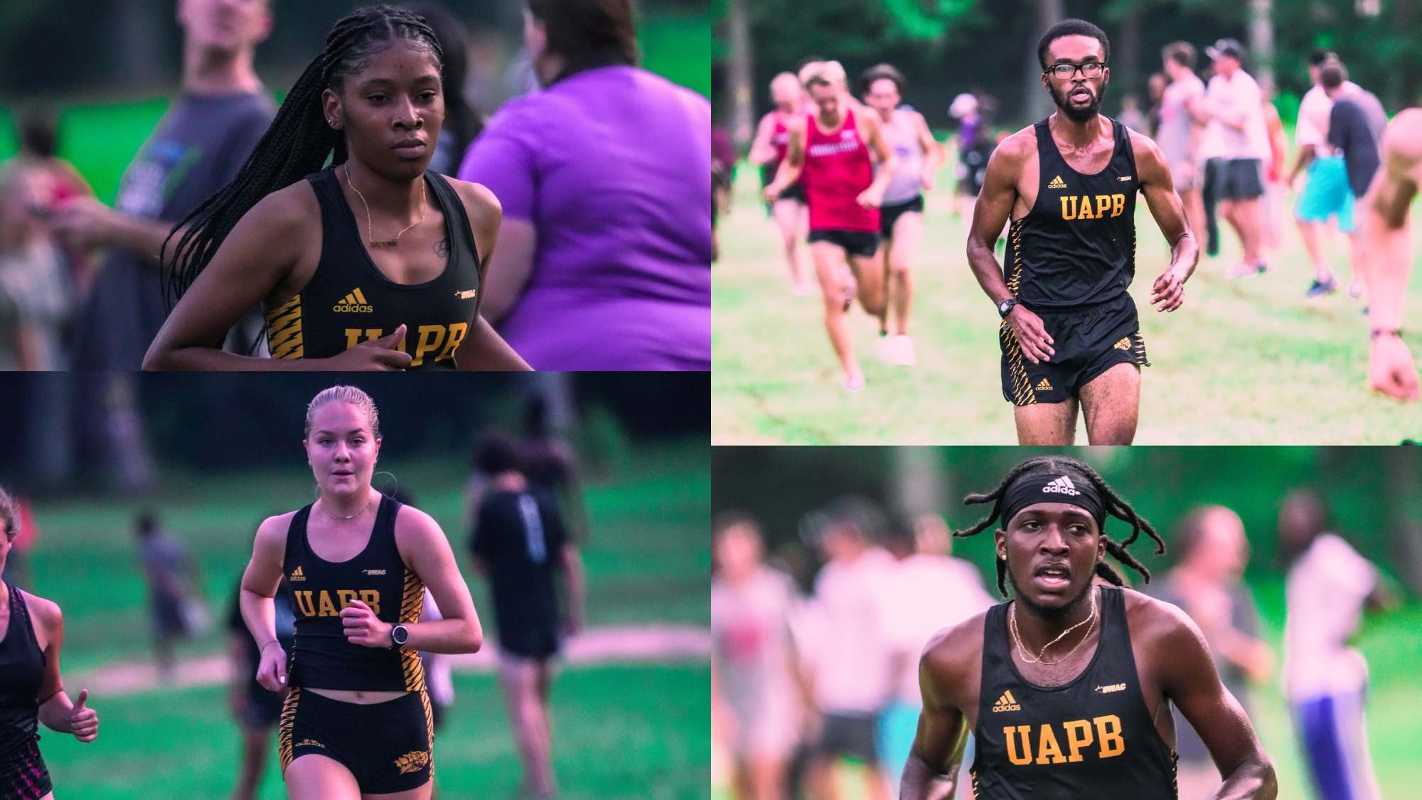 UAPB XC 22