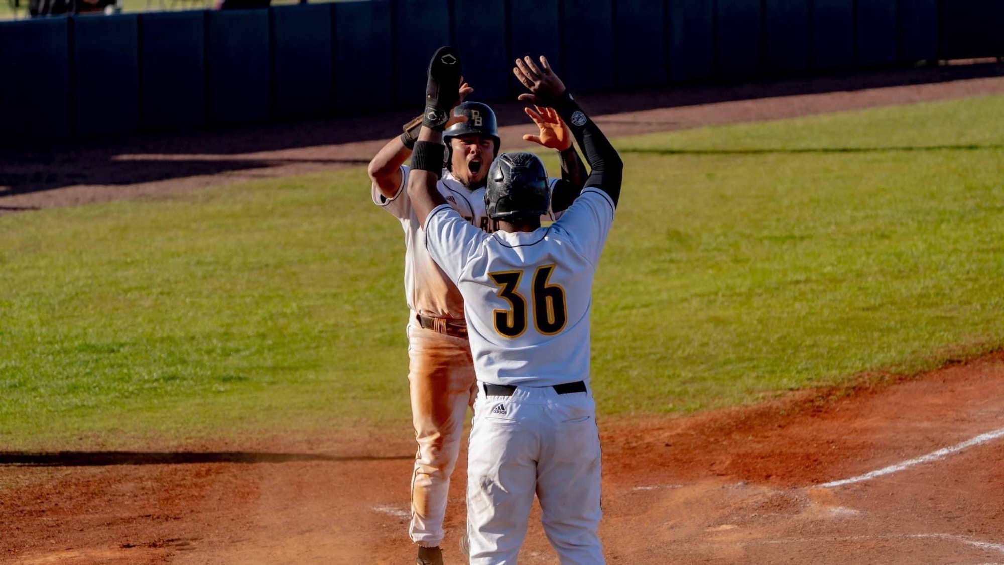 Baseball