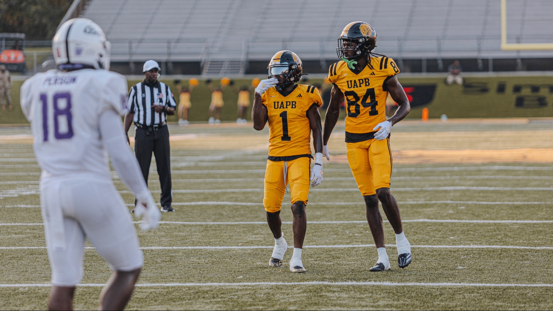 UAPBFootball Golden Lions Fall to Alcorn St. UA Pine Bluff Athletics