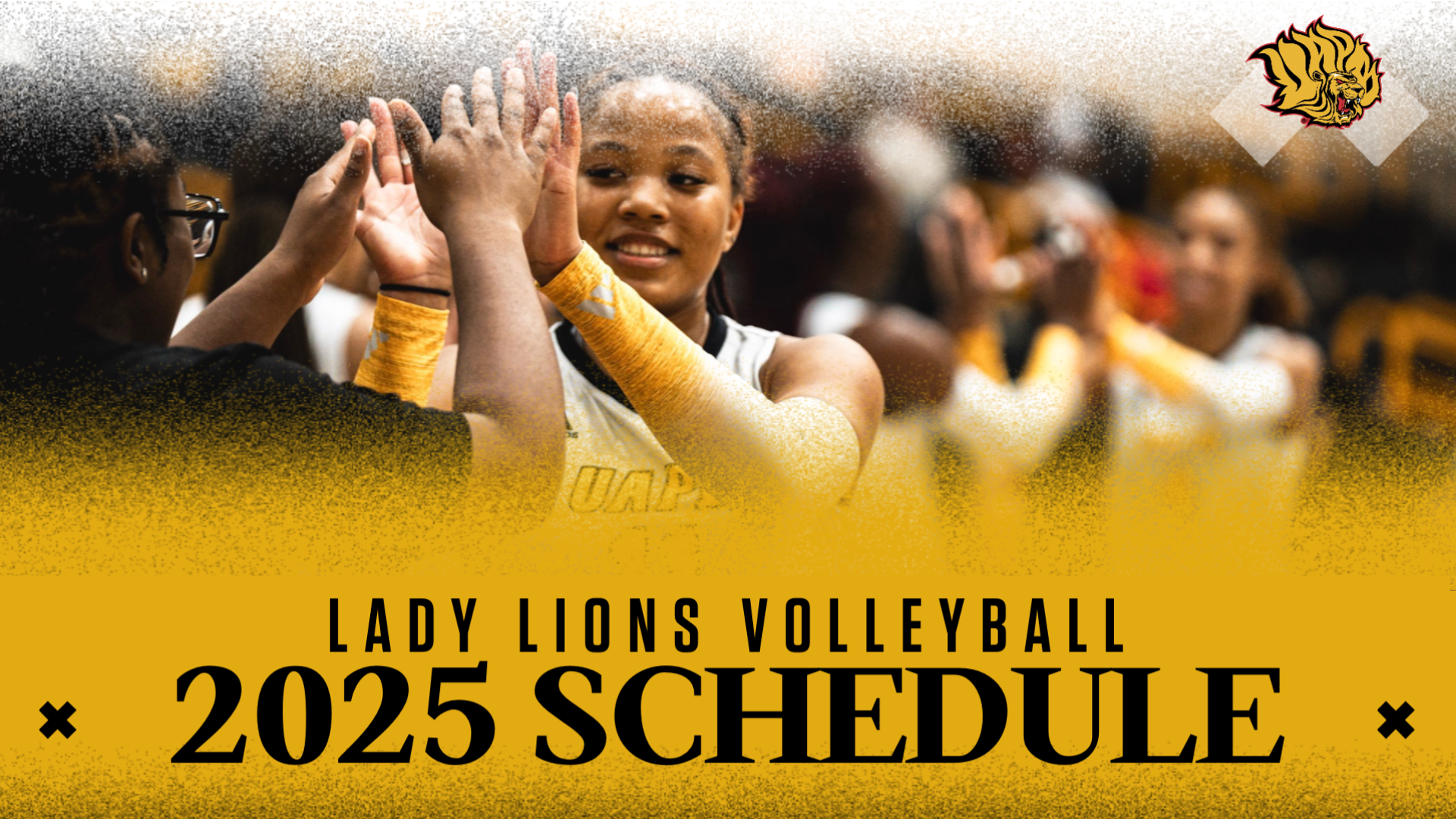 Volleyball Schedule 25