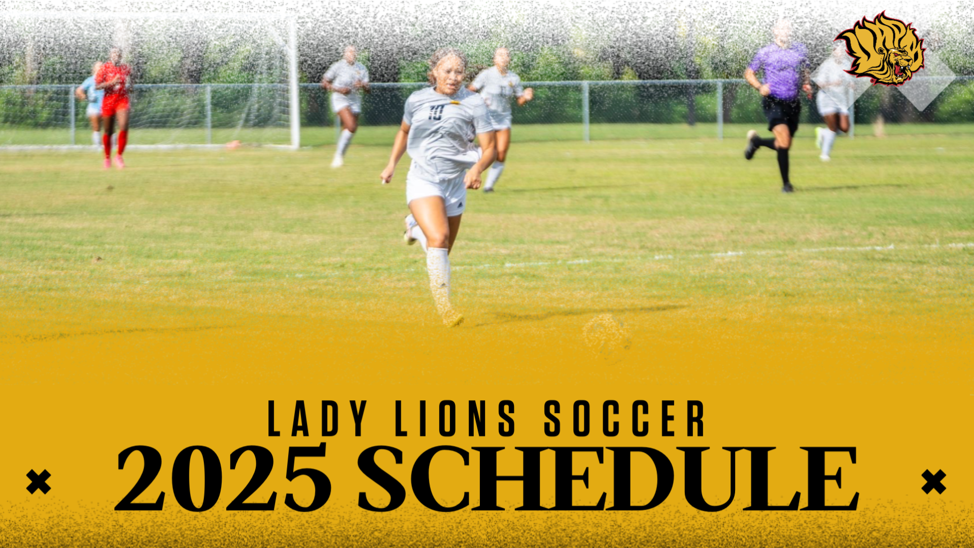 Soccer Schedule 25