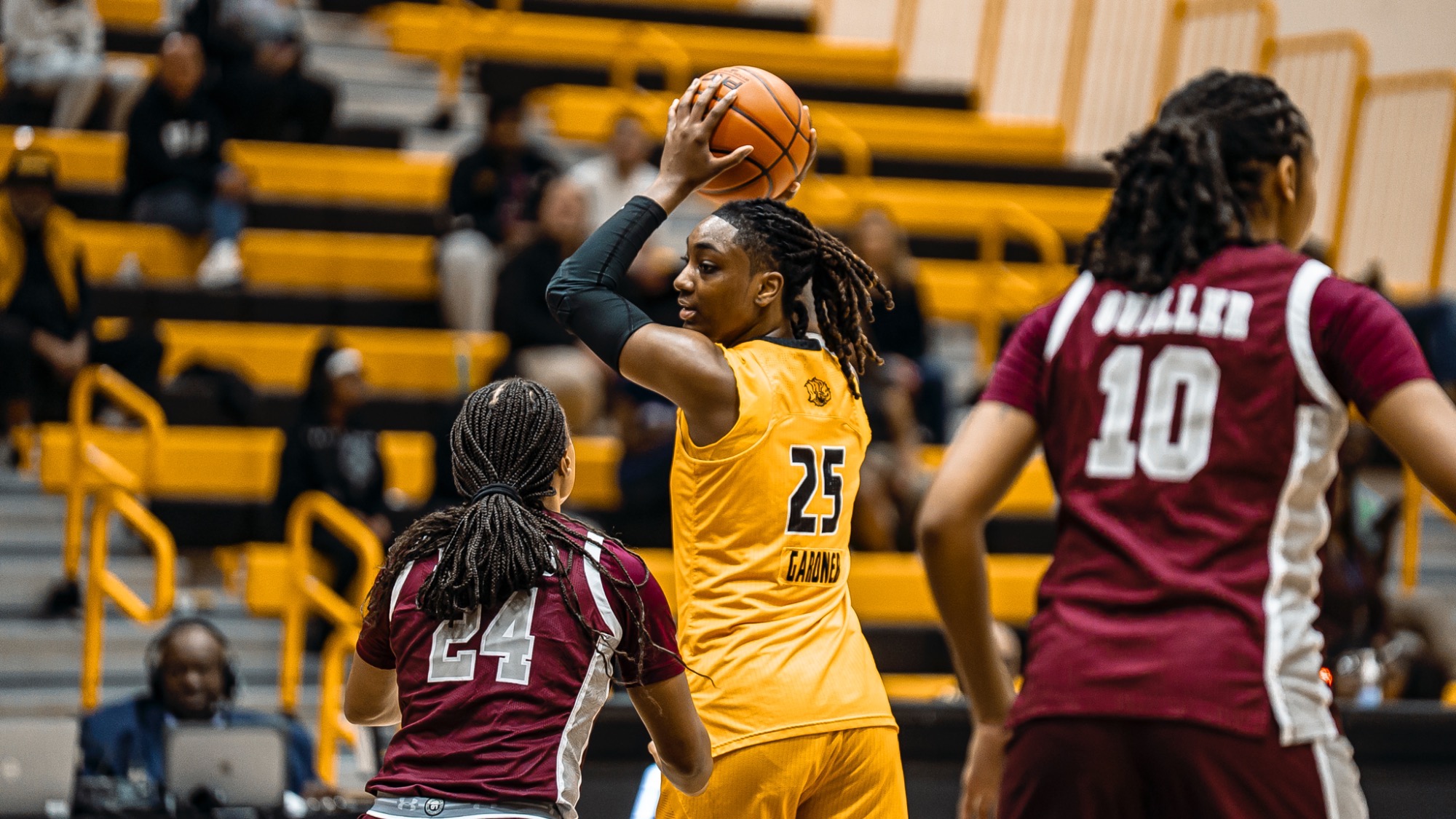 KHANIAH GARDNER VS. TXSO