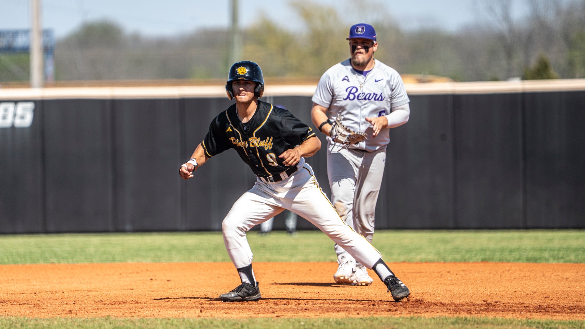 UAPB baseball
