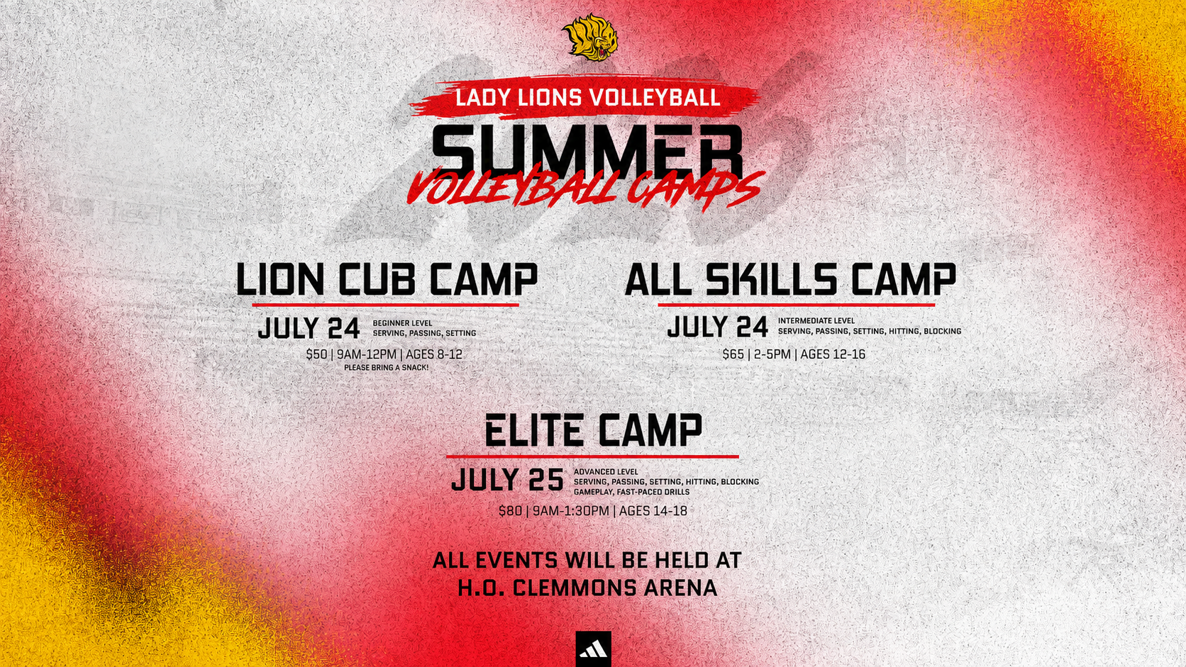 New Volleyball Camp