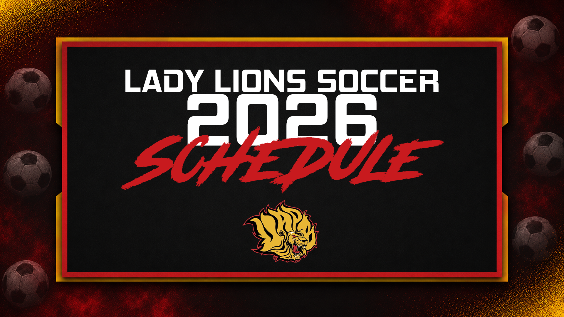 Soccer schedule