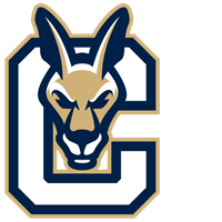 Opponent Logo
