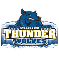 Opponent Logo