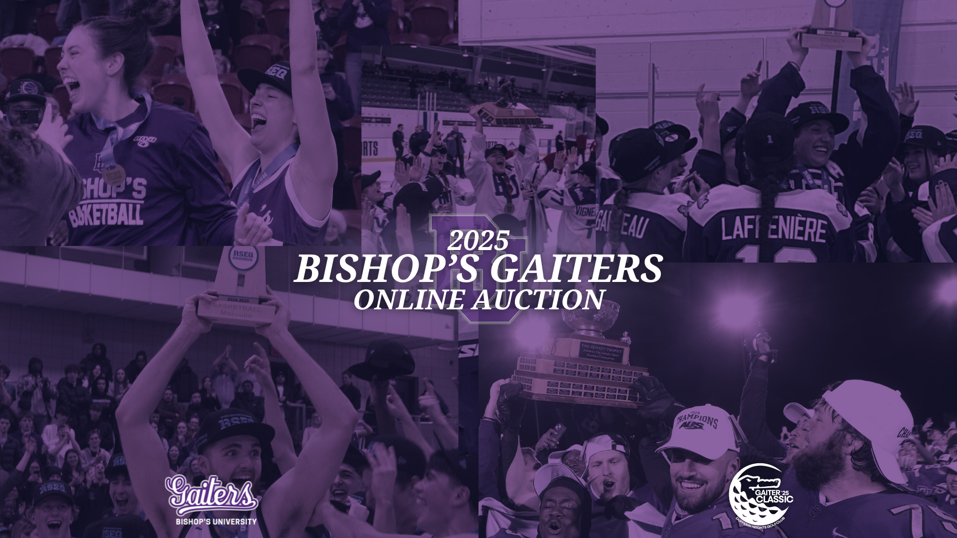 Online Auction for web