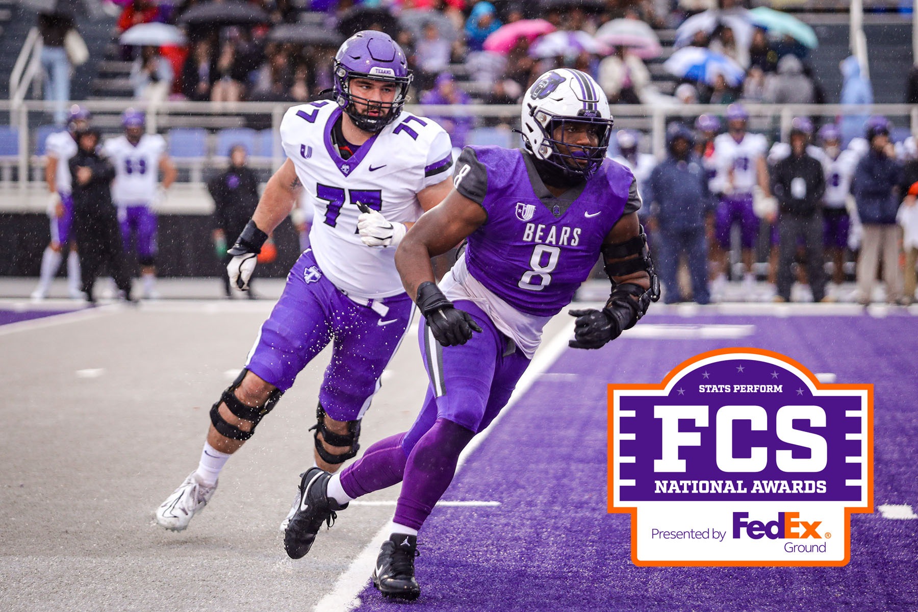 BEARS FINALLY RETURNING TO