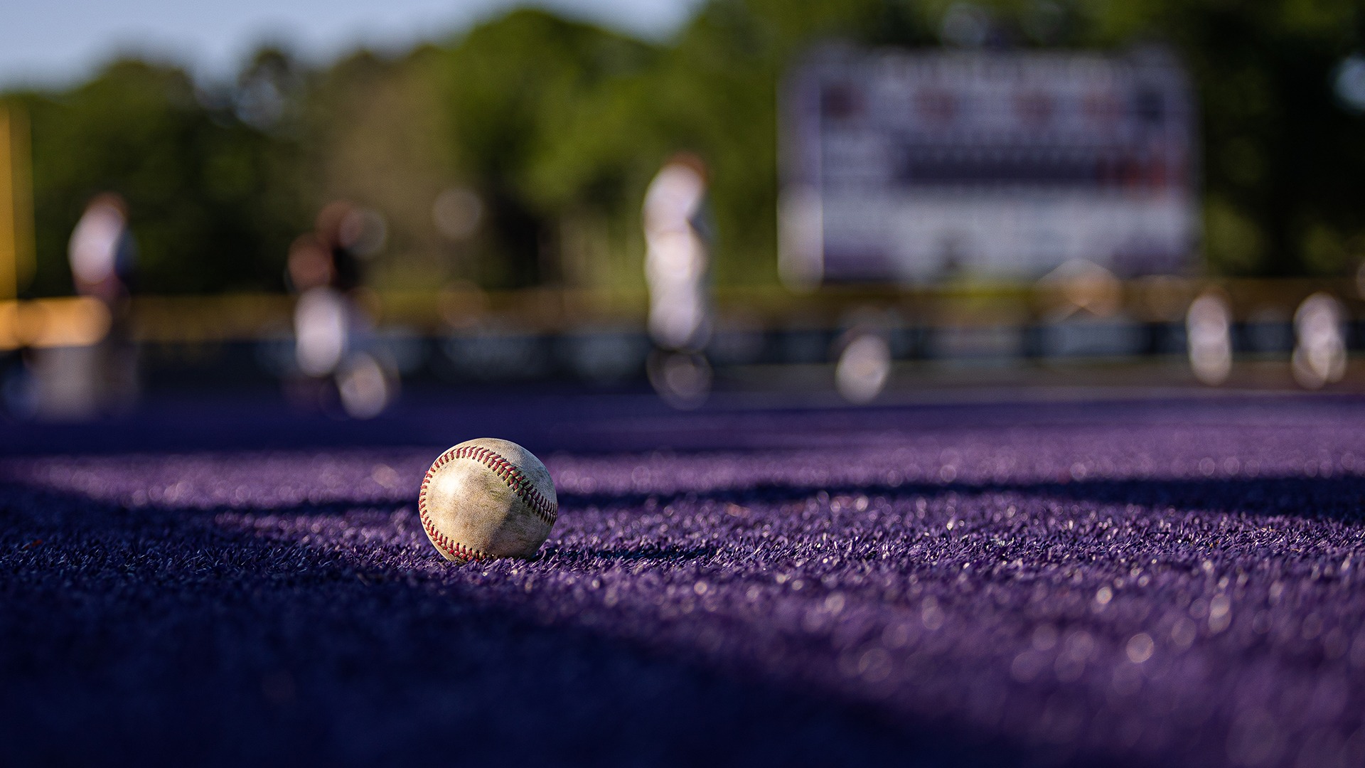 baseball on purple turf