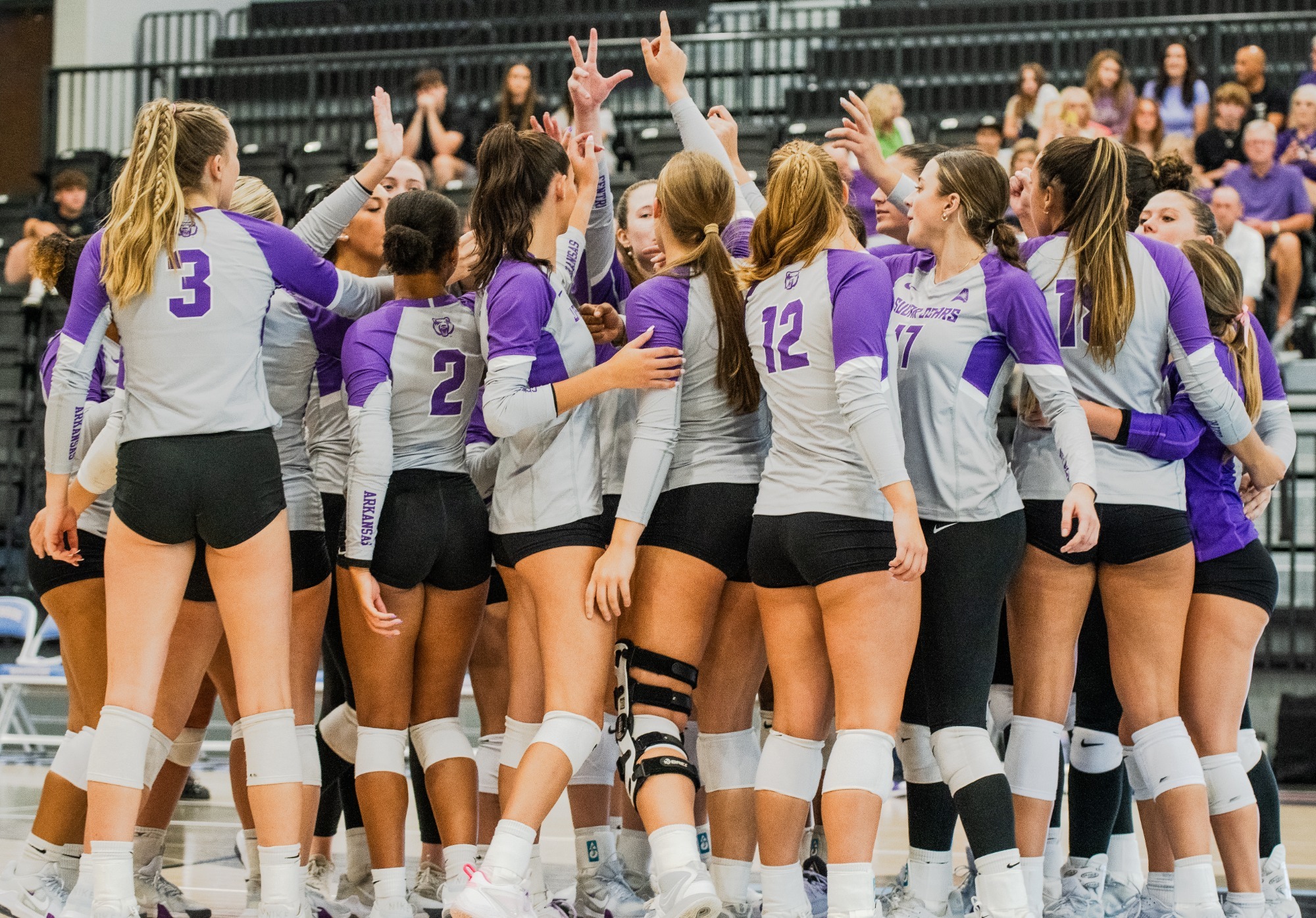 Sugar Bears Add Arkansas to 2020 Schedule - University of Central Arkansas Athletics sugar-bears-add-arkansas-to-2020-schedule-university-of-central-arkansas-athletics