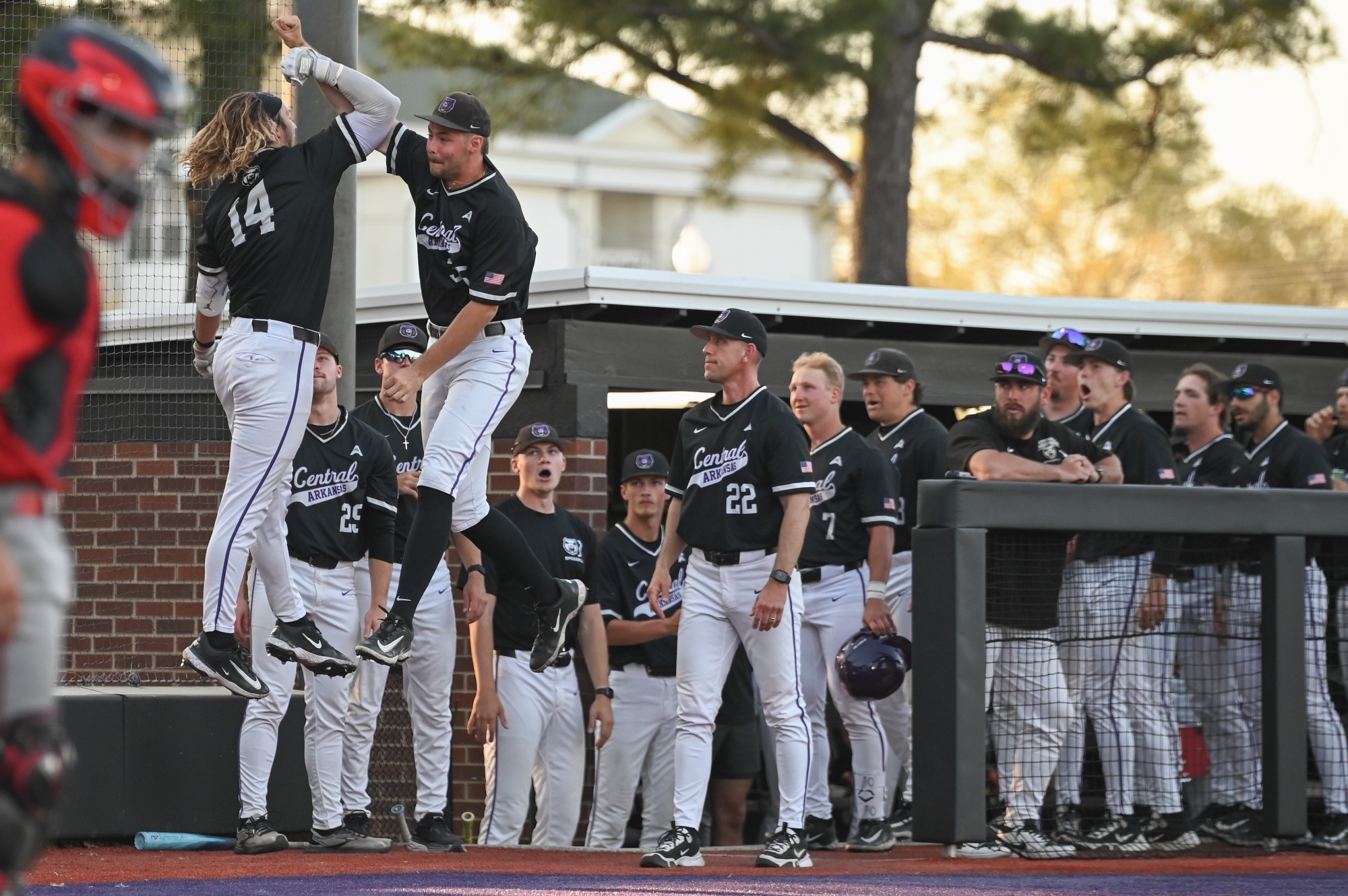 Coach and Celebration