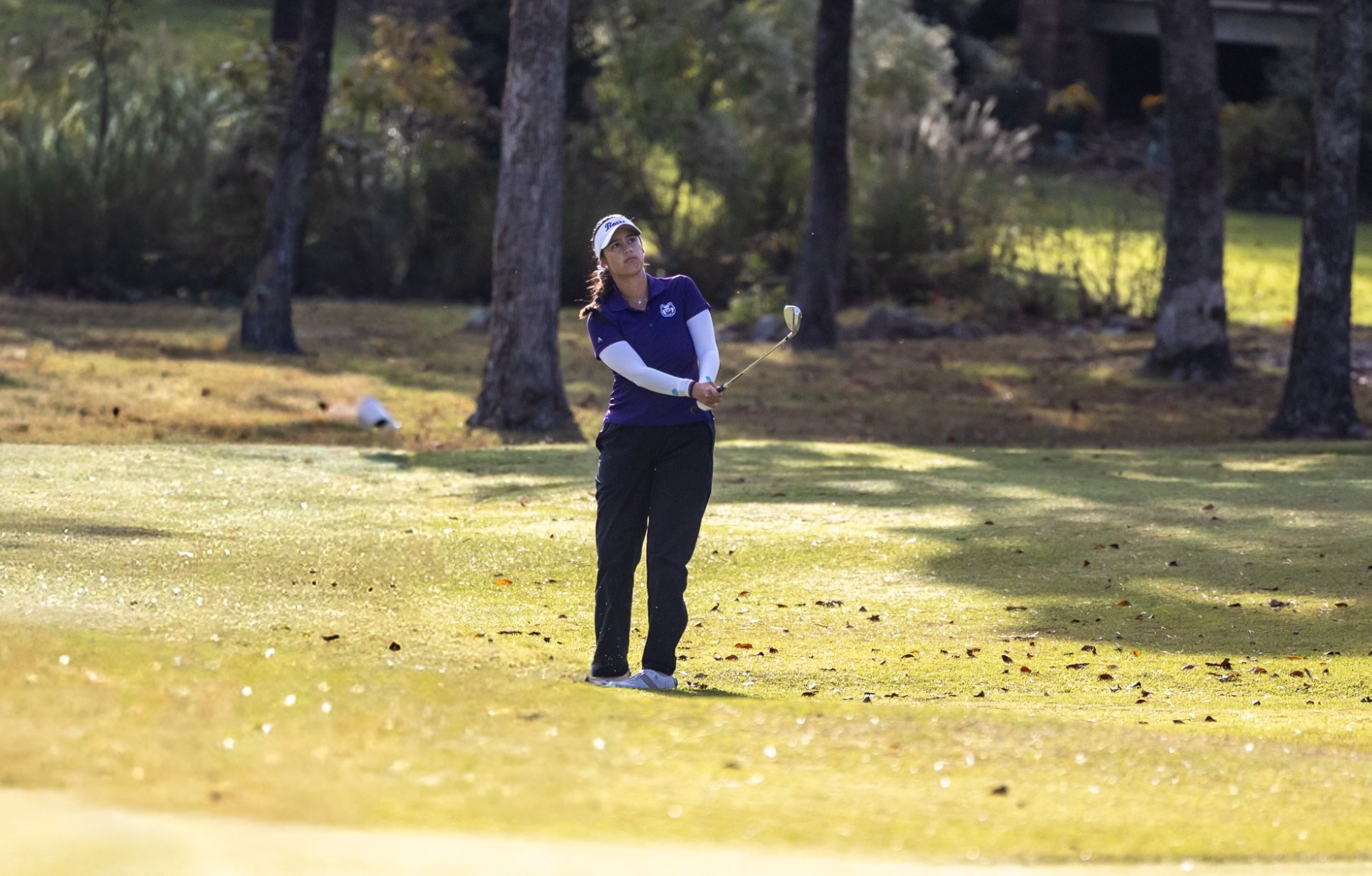 Remirez W Golf swing