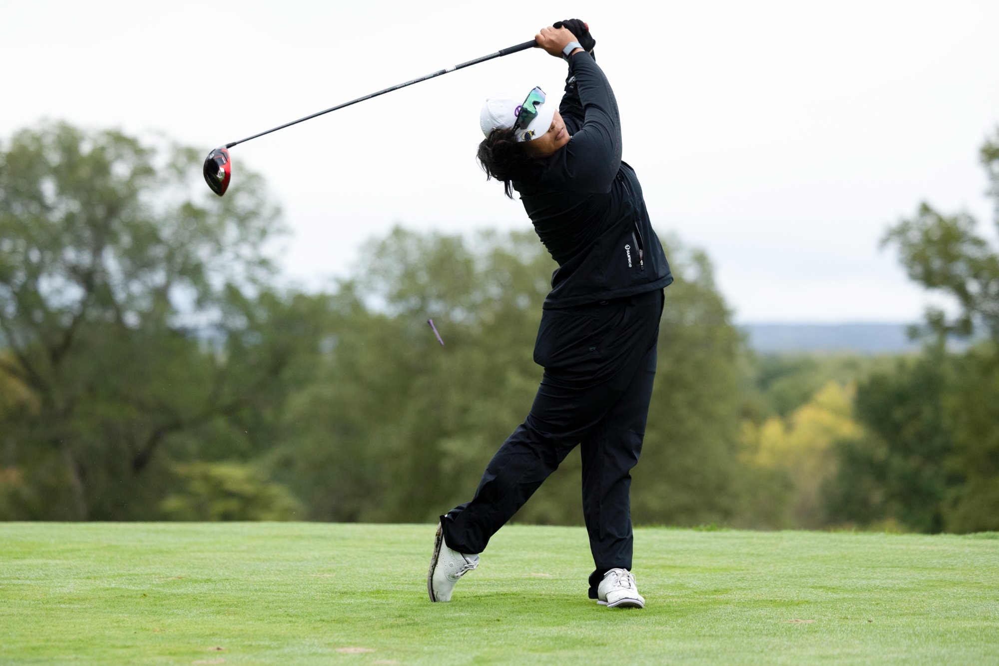 Alethea Gaccion Swings