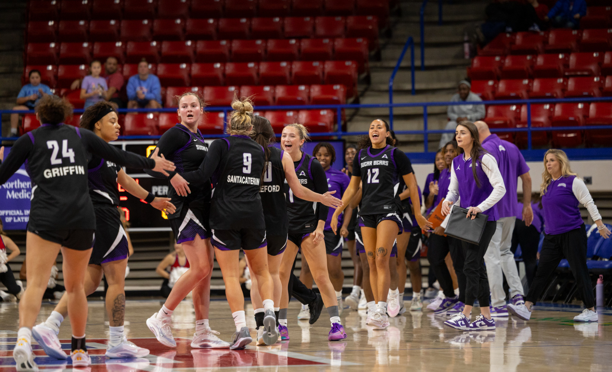 Sugar Bear Celebration