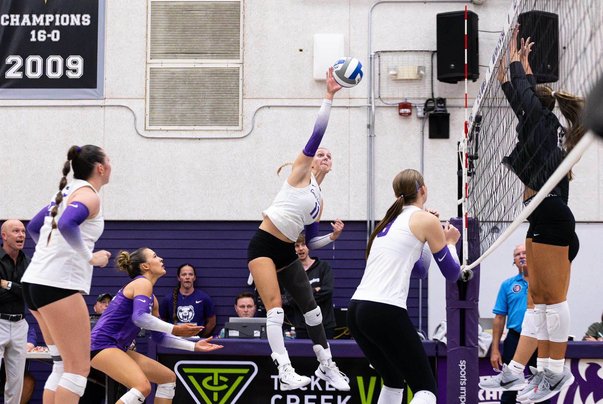 VanDyke Attack vs EKU