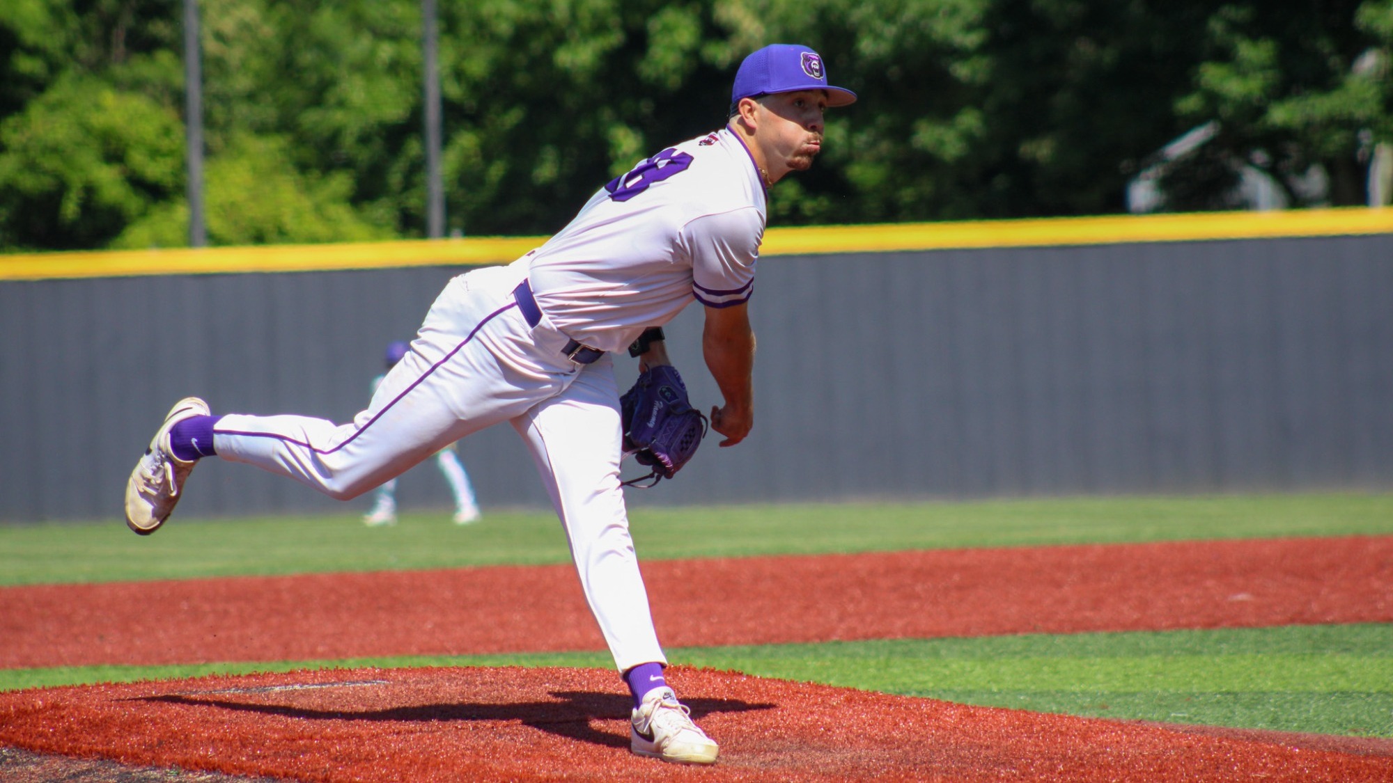 Hamilton Pitching