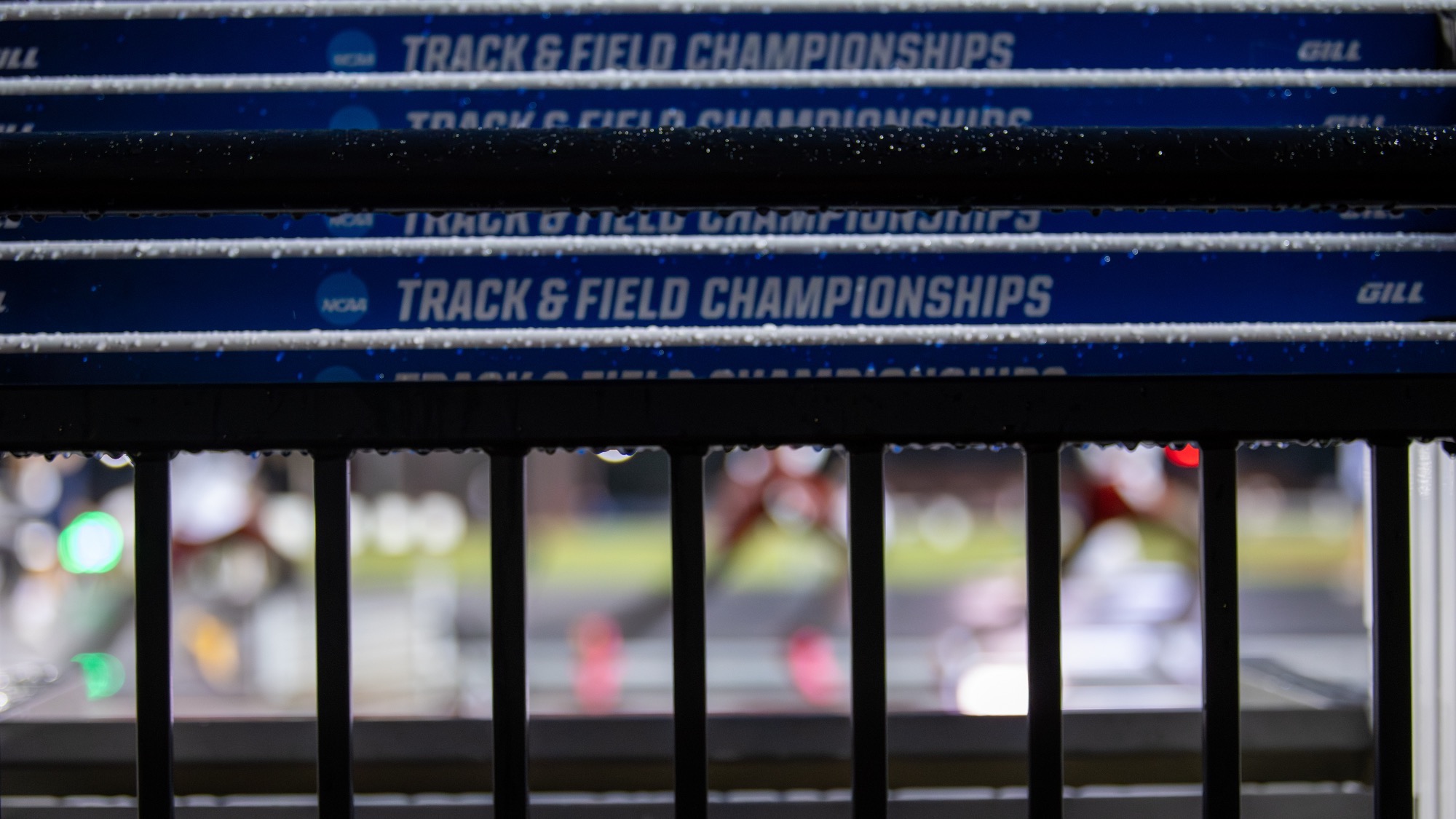 NCAA TF