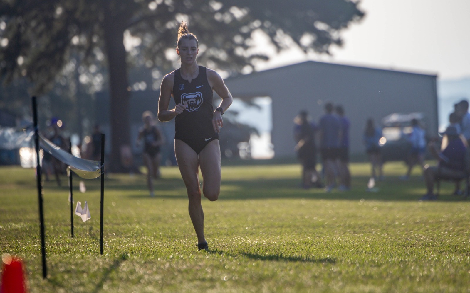XC
