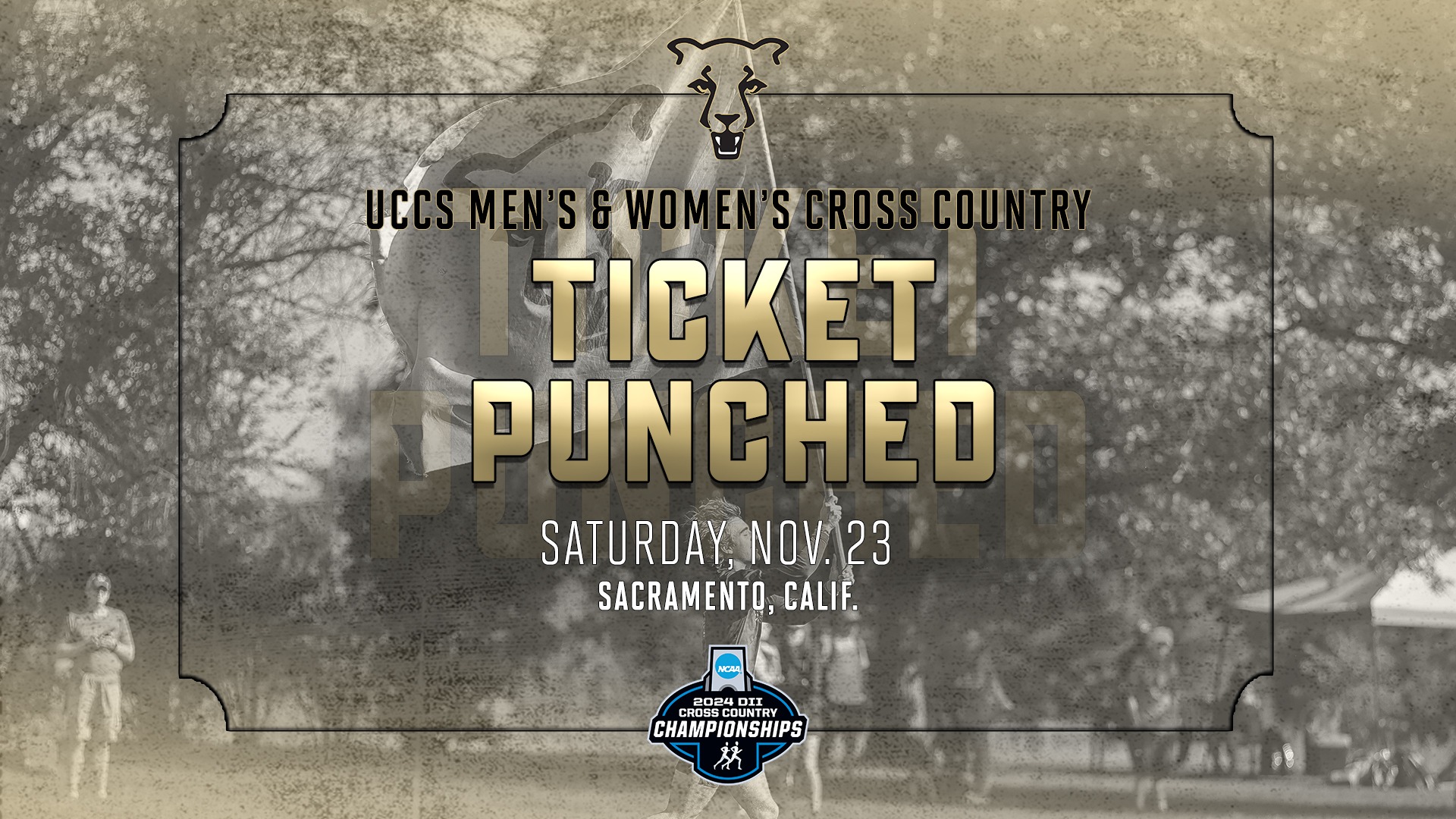 Men’s Cross Country Places 15th at NCAA DII Championship UCCS Athletics