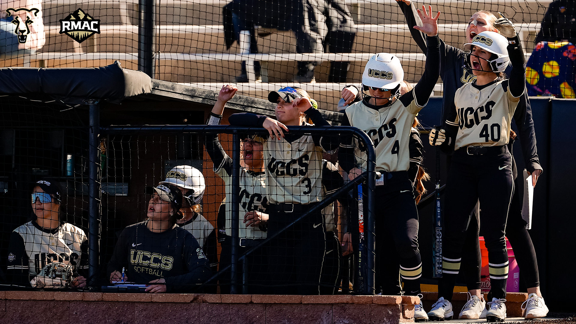 Softball Season Recap