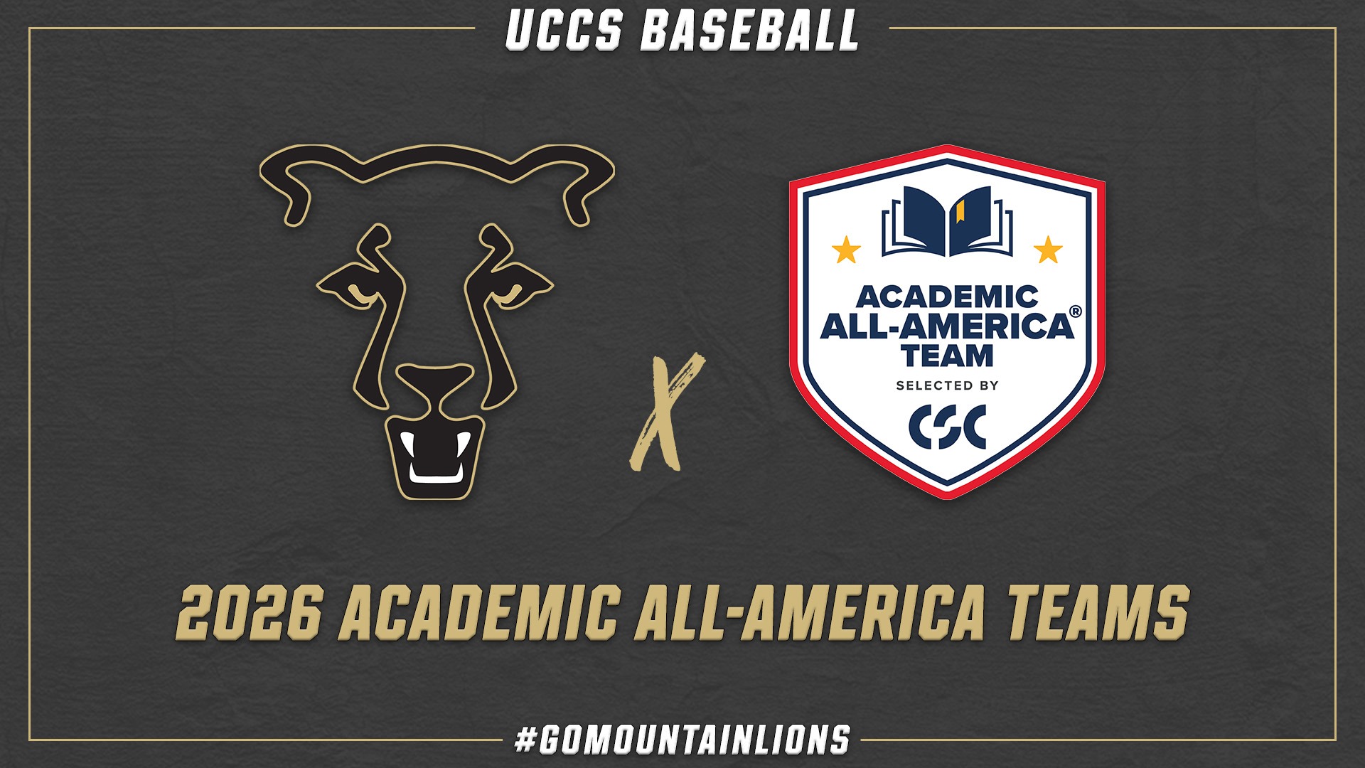 CSC BSB Academic AA