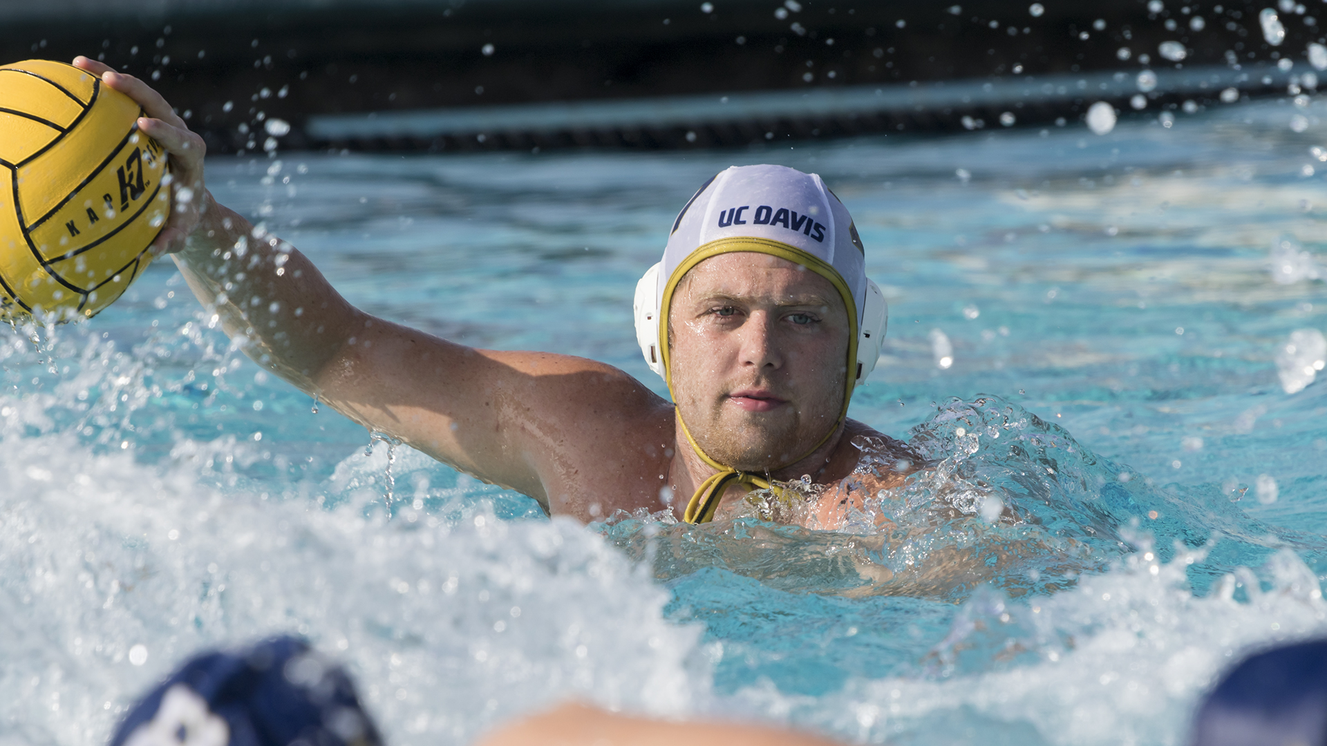 Holden Tamblyn Men's Water Polo UC Davis Athletics
