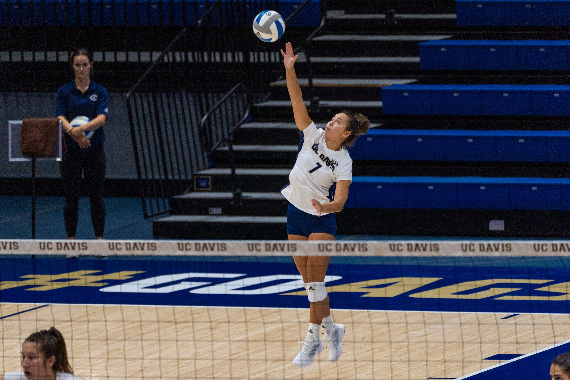 Julia Ng Women's Volleyball UC Davis Athletics
