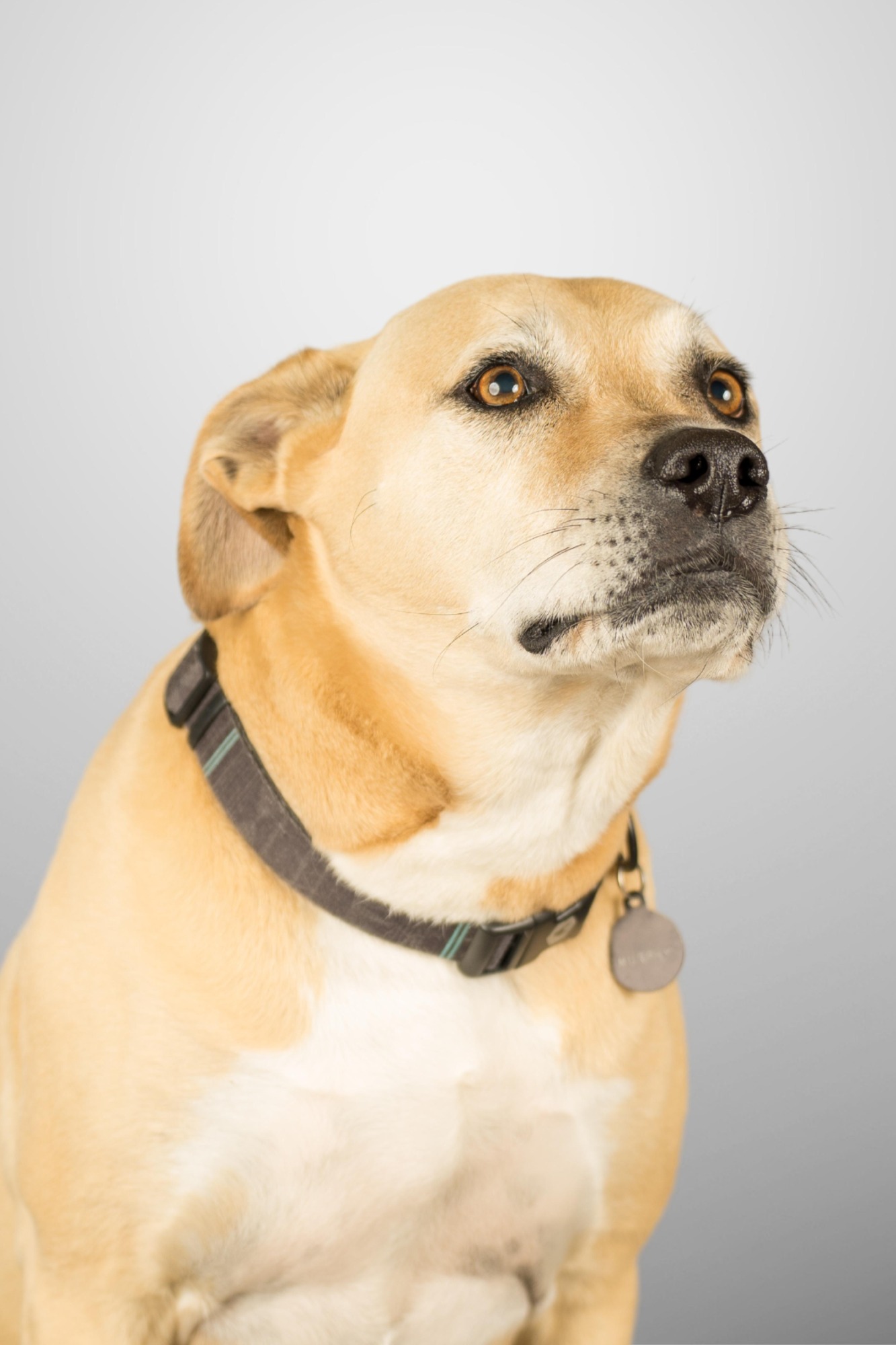 Murphy 2022 headshot