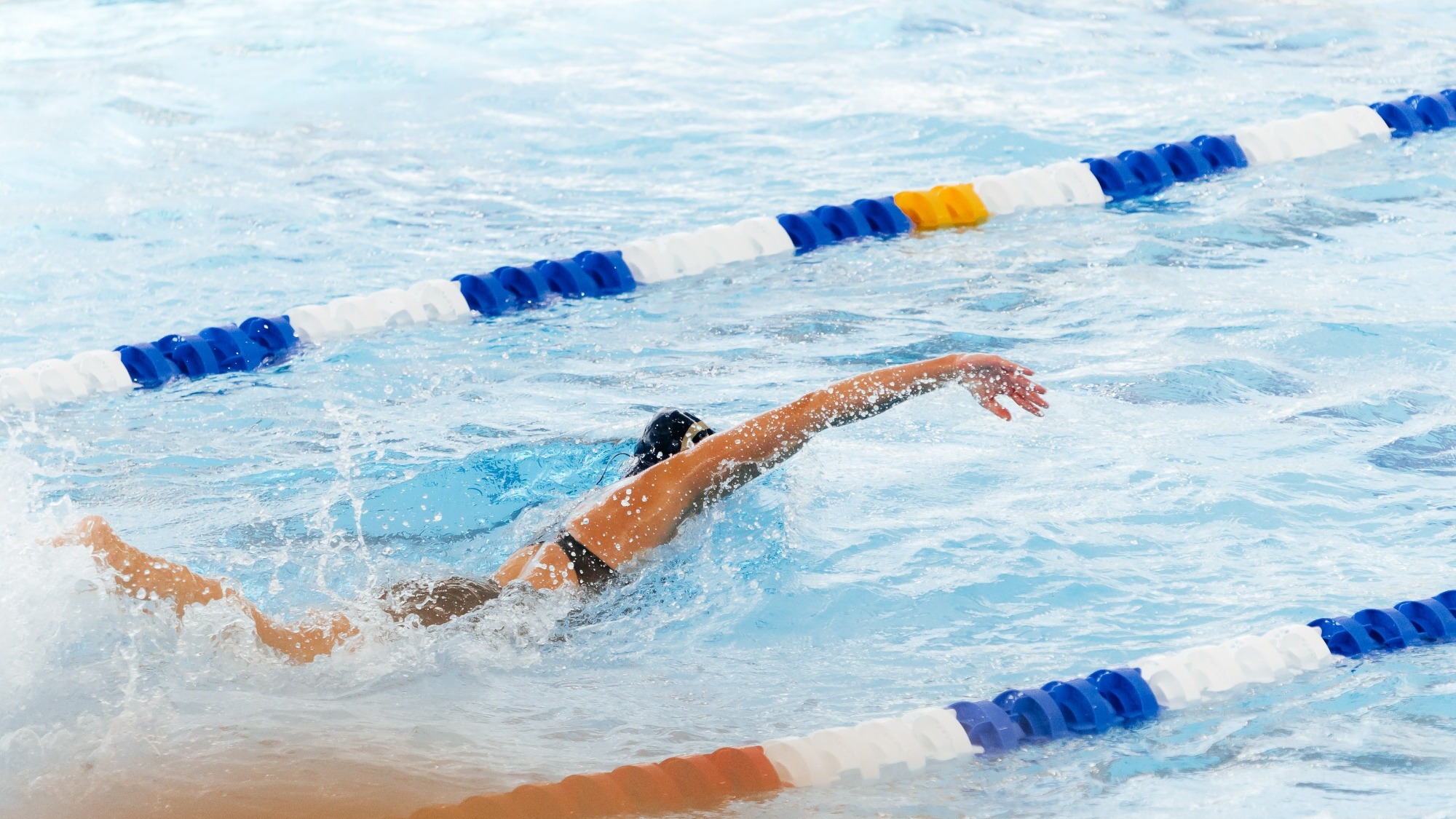 UTU trailblazer invite