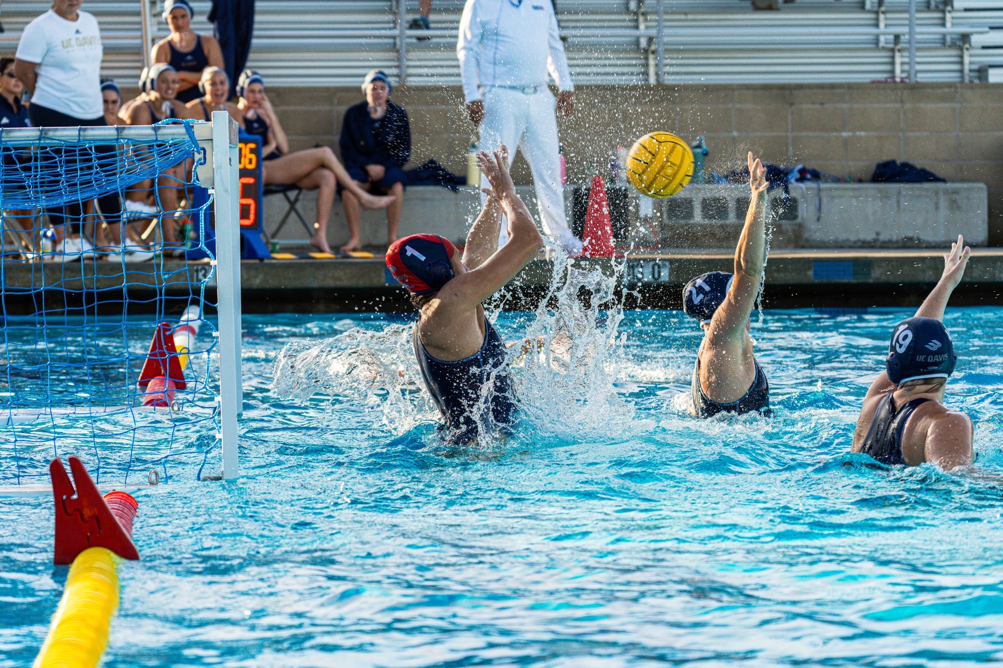 WWP 2026 Preview Story