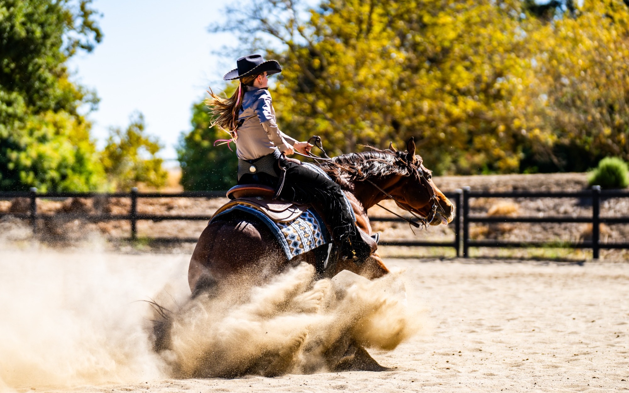 EQ - Post-Meet Jan. 28