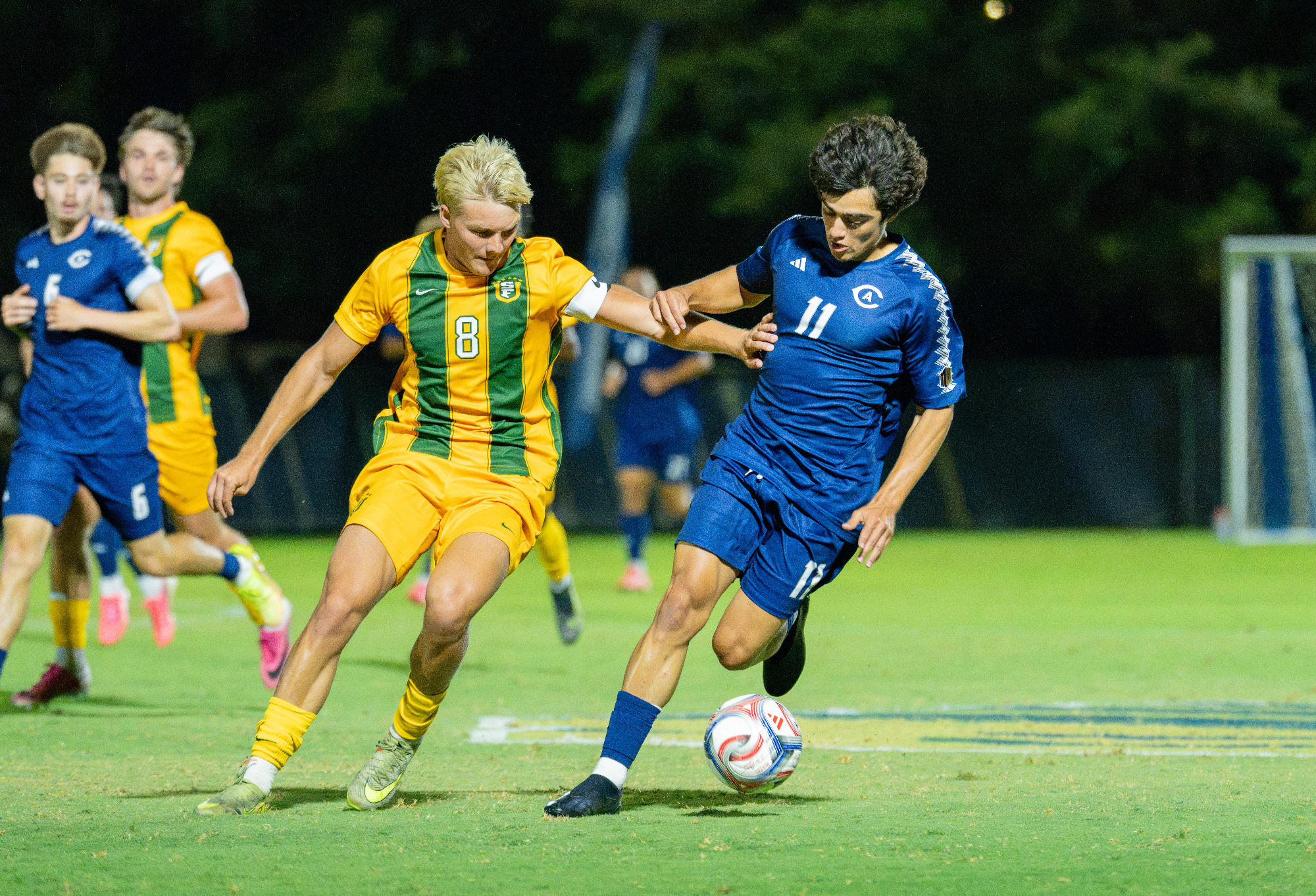 MSOC vs. SF