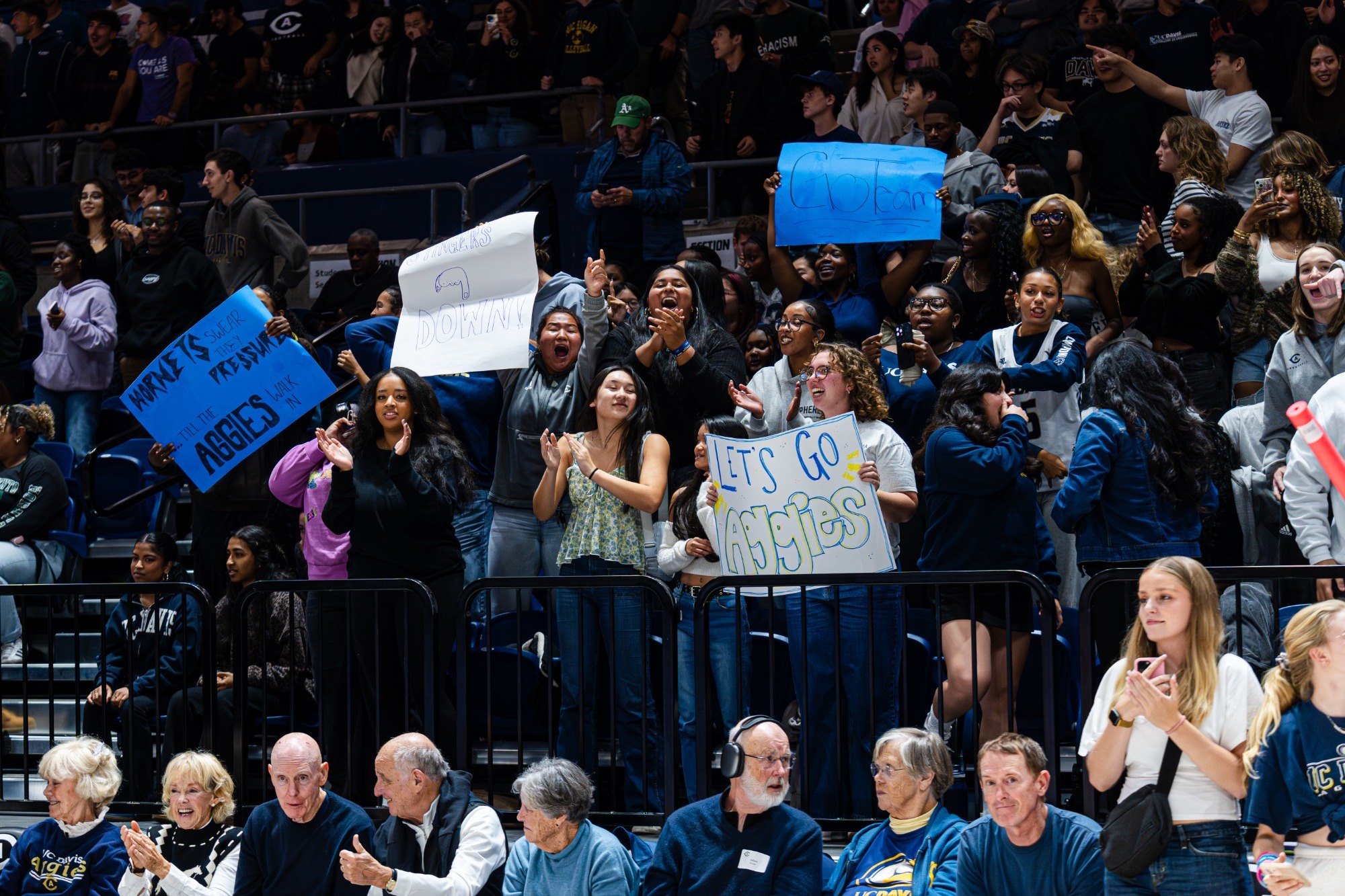 BB Crowd