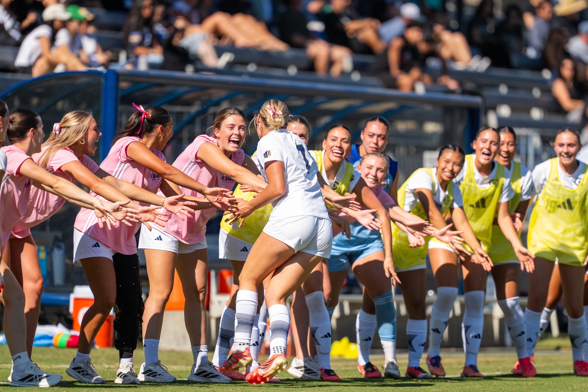 2026-10-31 UC Davis Hosts UTEP On Senior Day