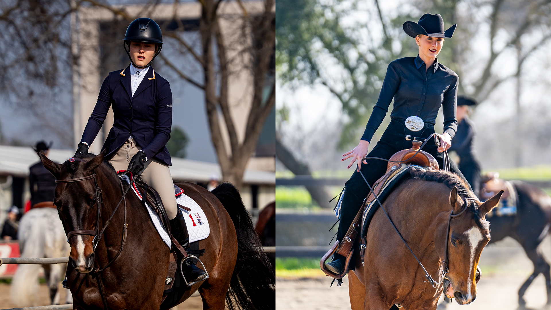 ECAC ROTW - Feb. 10 (2)