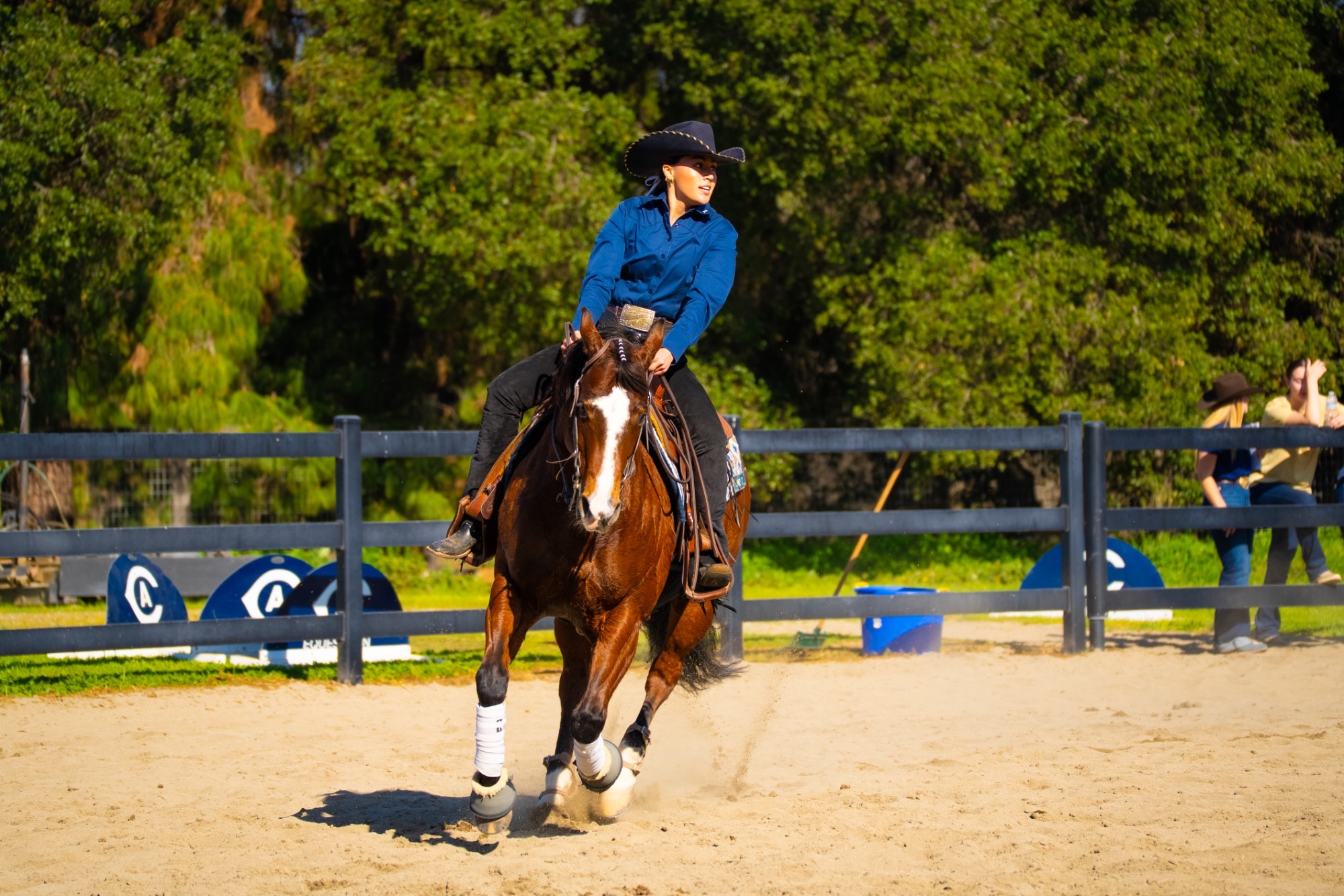 EQ - UC Davis vs South Dakota State - Post-Meet - Feb. 21 2026