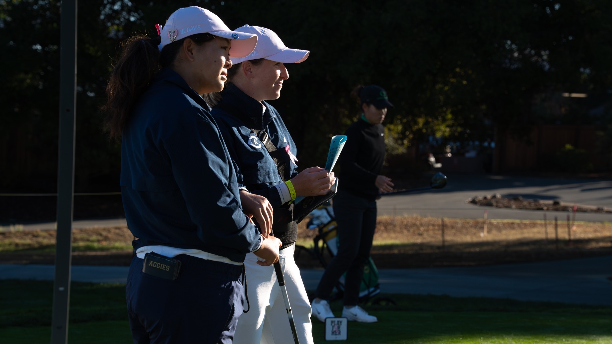 26WGOLFHICKSSTANIVITE