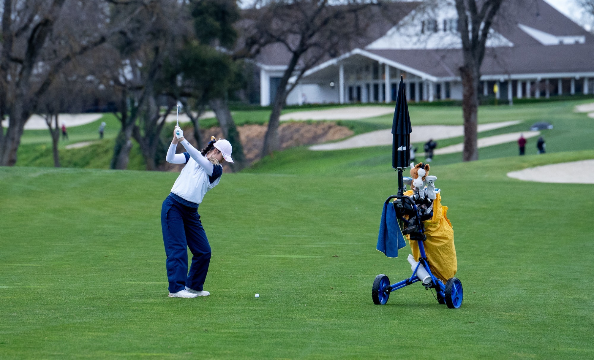 26WGOLFHeaderCAUSEWAY