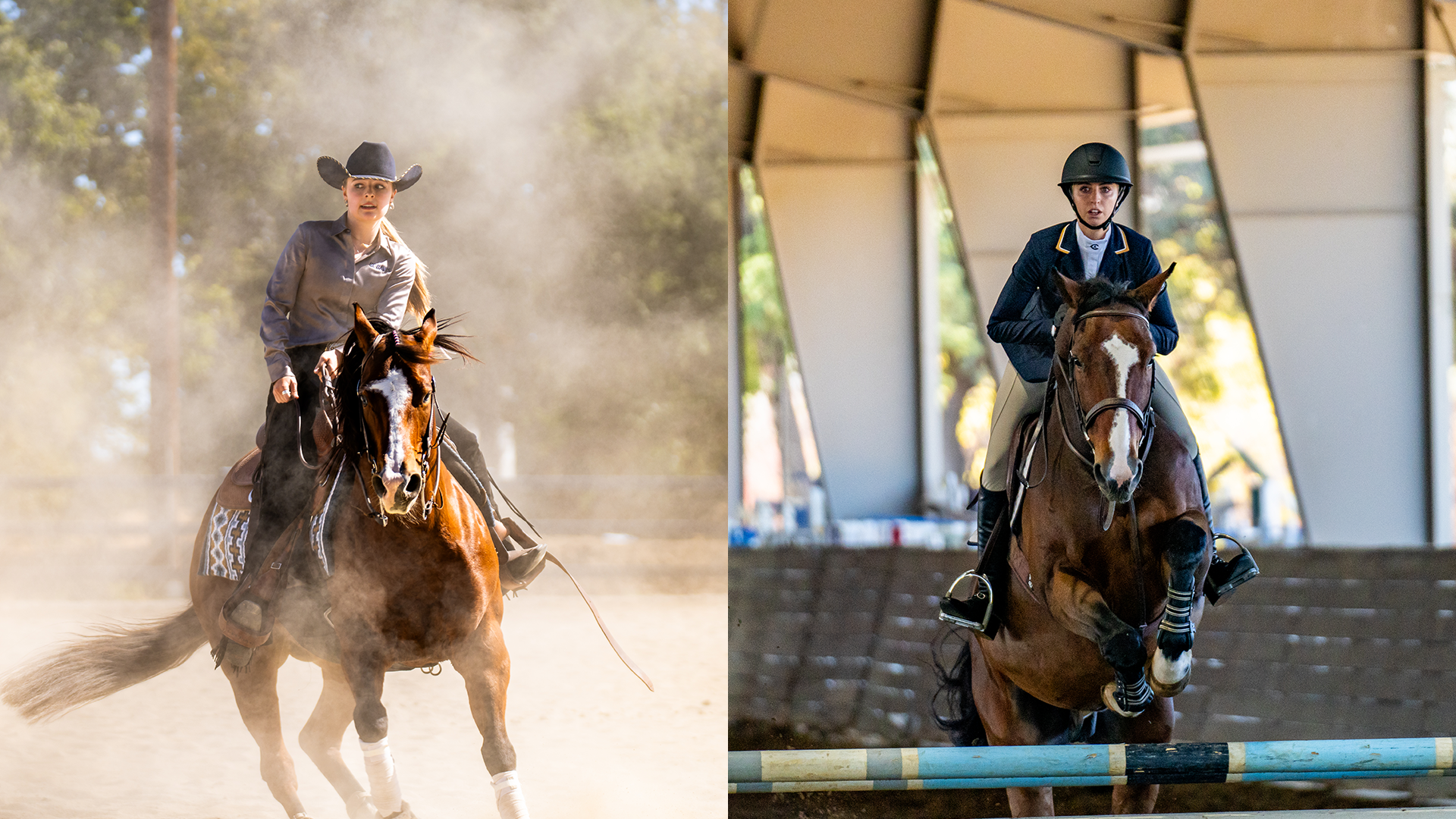 EQ - ECAC ROTW - Mar. 10 2026