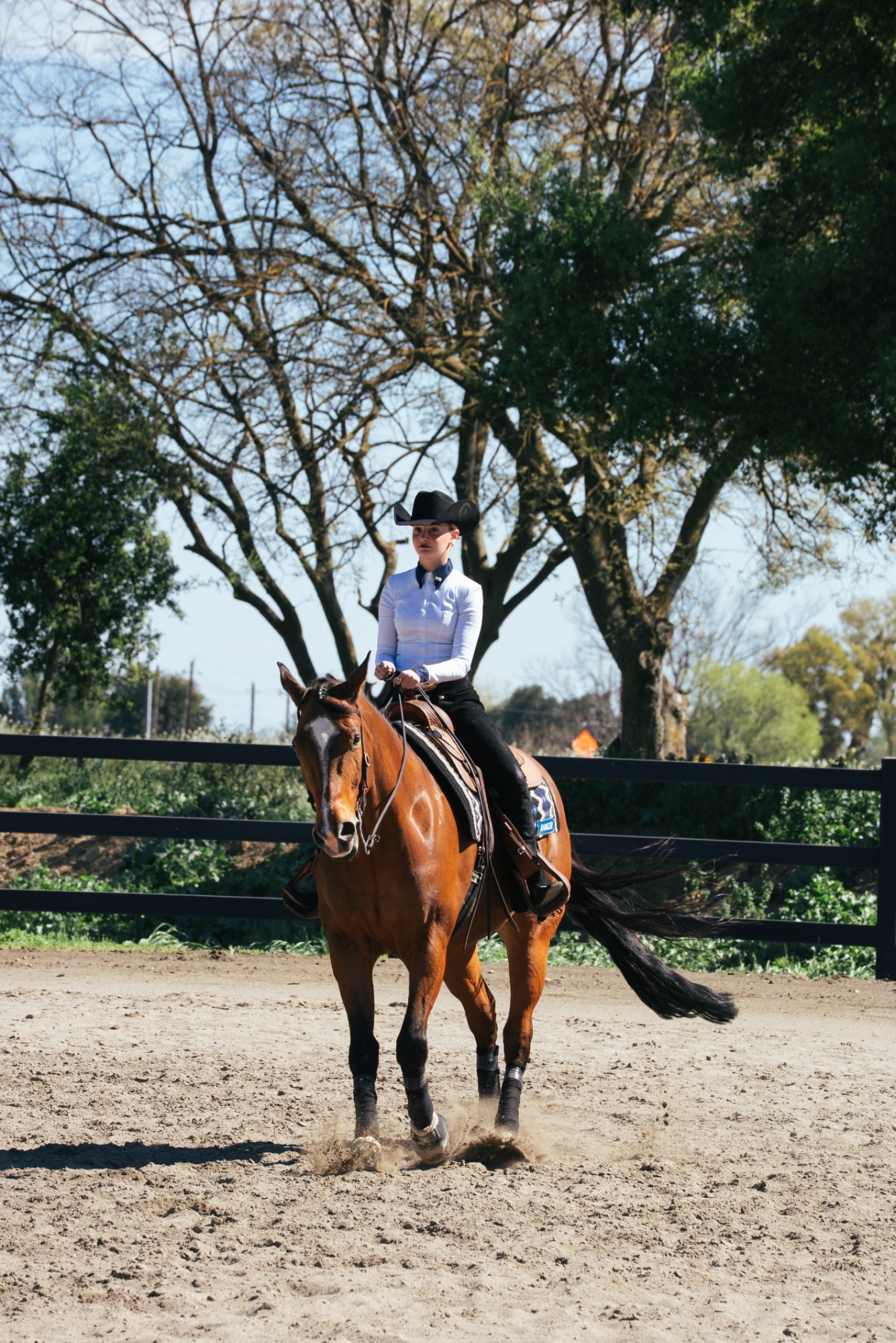 EQ - vs UT Martin - Mar. 7 2026