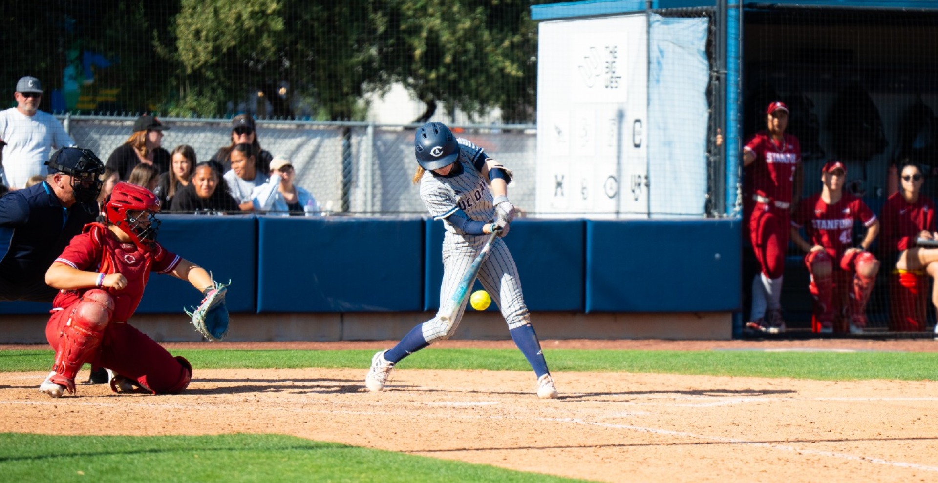 26SBPolliSwingStanford