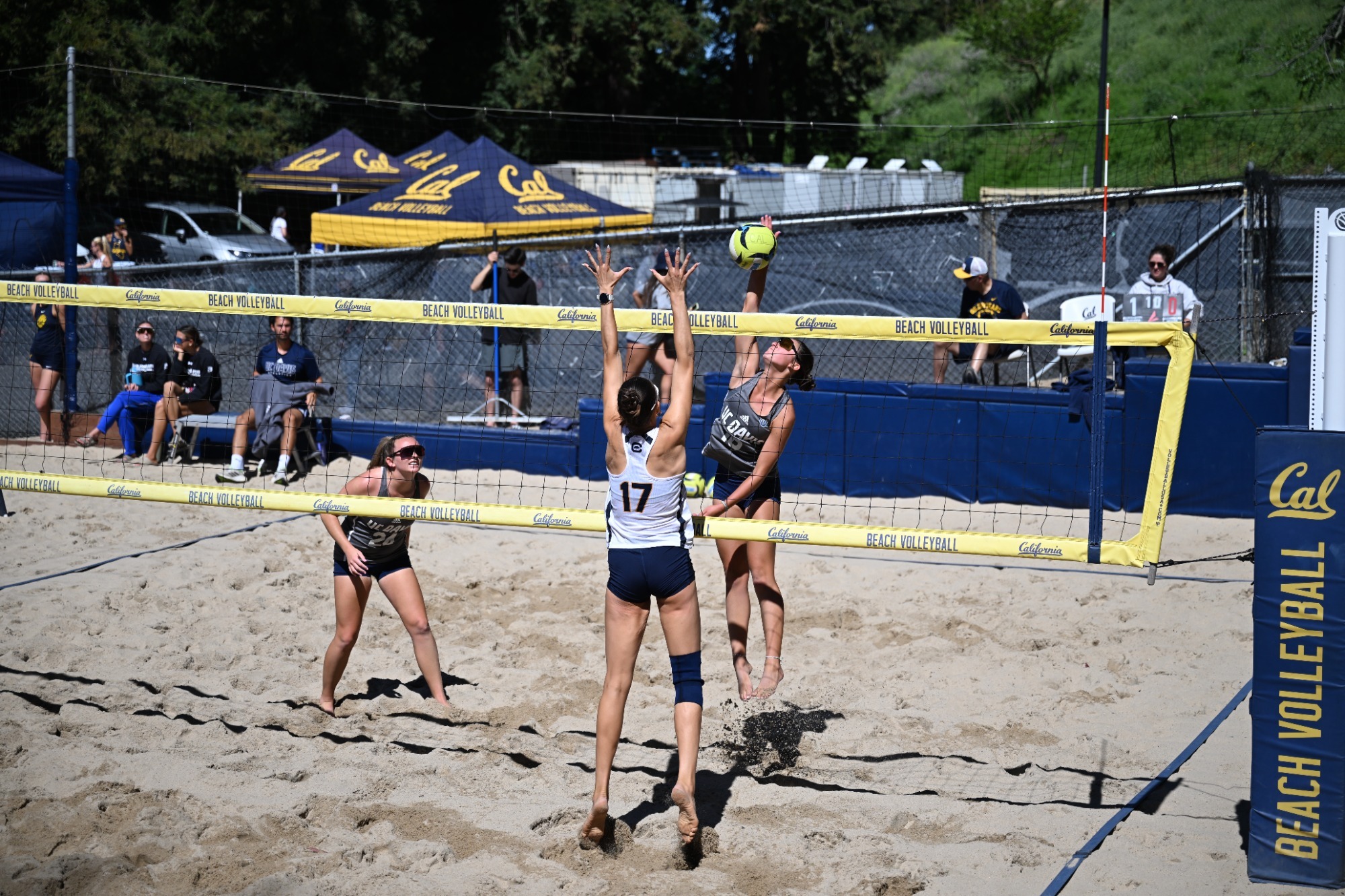 Smolinski and O'Steen