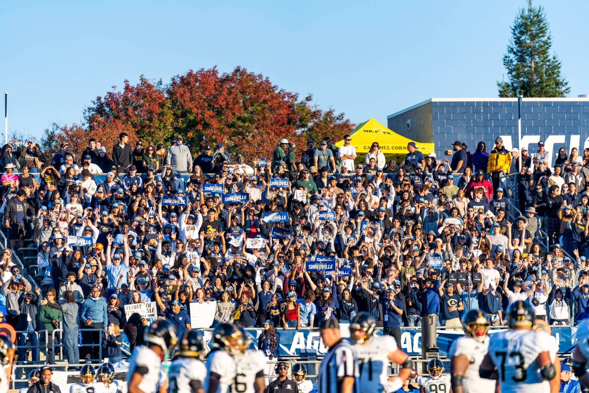 FB Crowd Shot