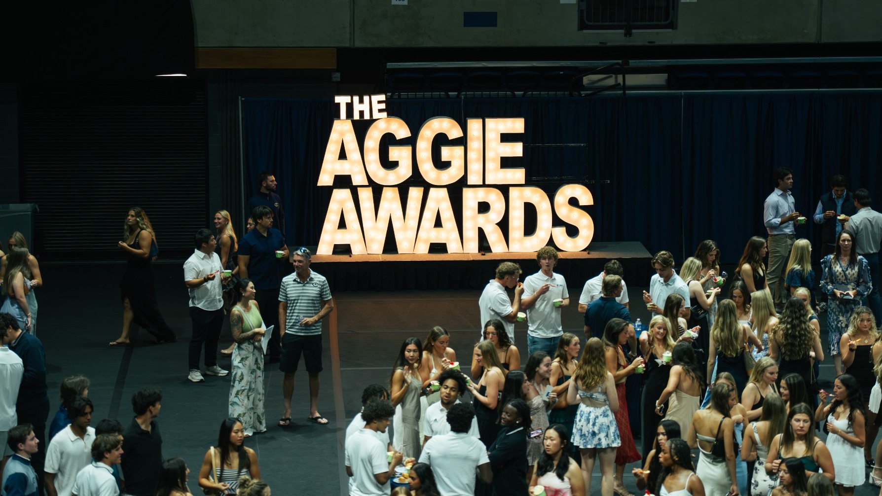 Aggie Awards Hero