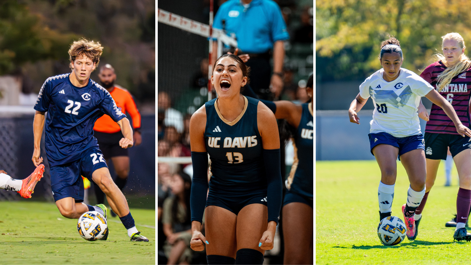 Fall Olympic Sports