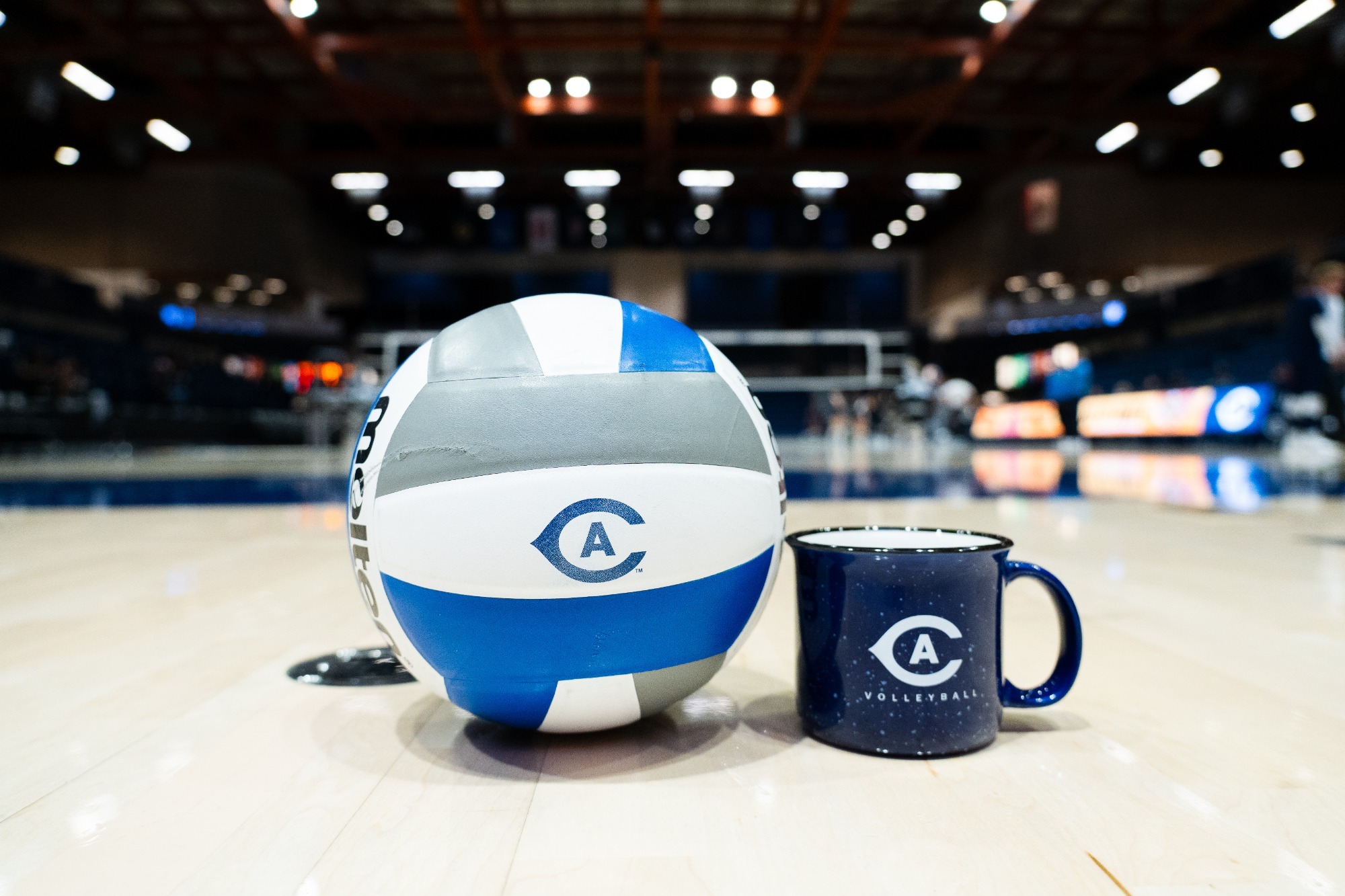 VB Branding