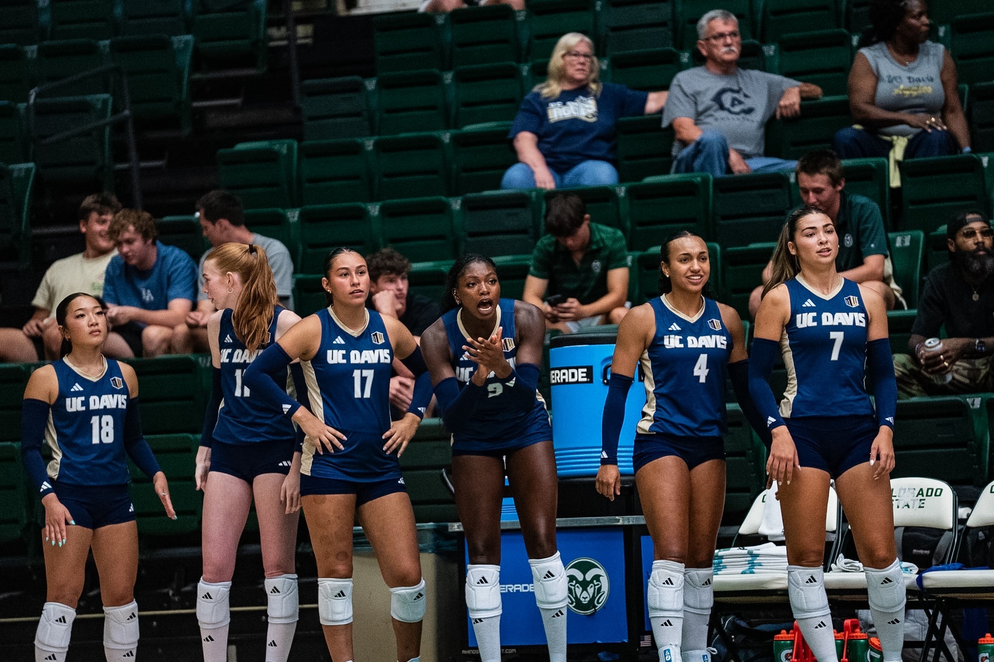 VB Team