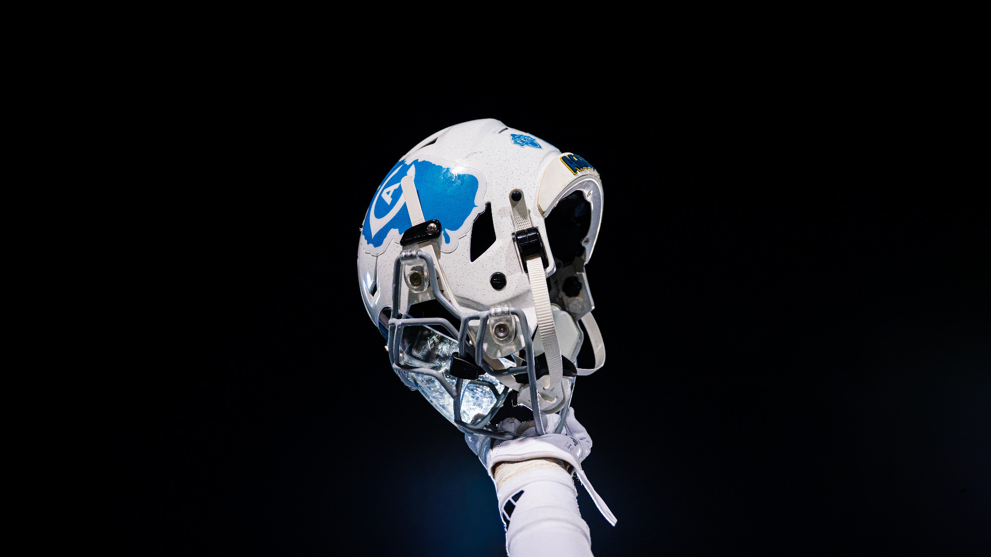 FB Helmet